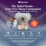 The Perfect Sleep Companion